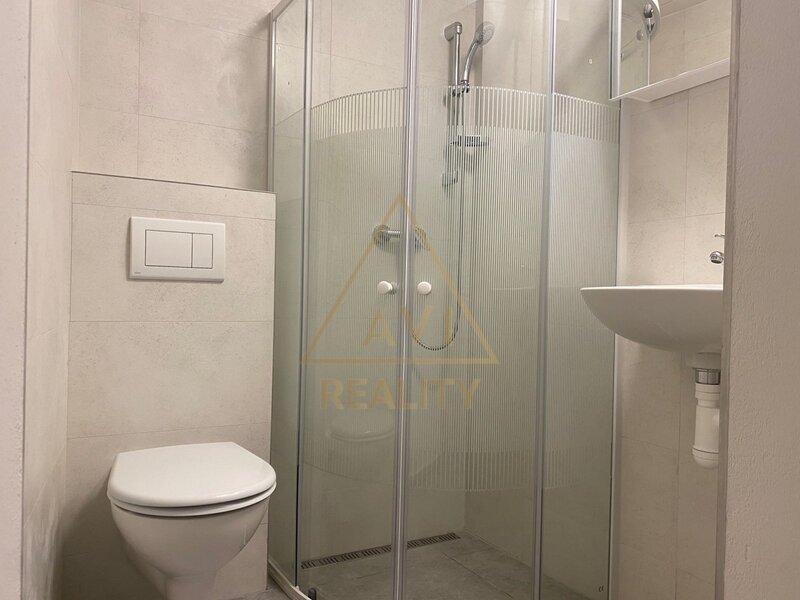 PRODEJ BYTU DV 3+1 PO REKONSTRUKCI 60M2 SNÍŽENÉ PŘÍZEMÍ – PODNÁDRAŽNÍ VYSOČANY PRAHA 9